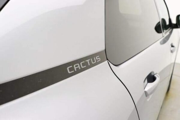 Citroen C4 Cactus – Image 12