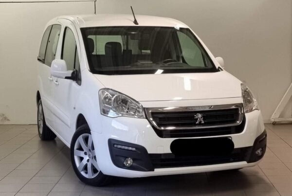 Peugeot Mester – Image 2