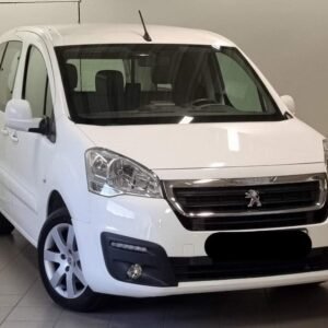 Peugeot Mester