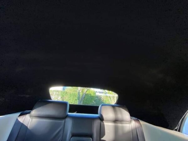 Volkswagen Beetle – Image 12